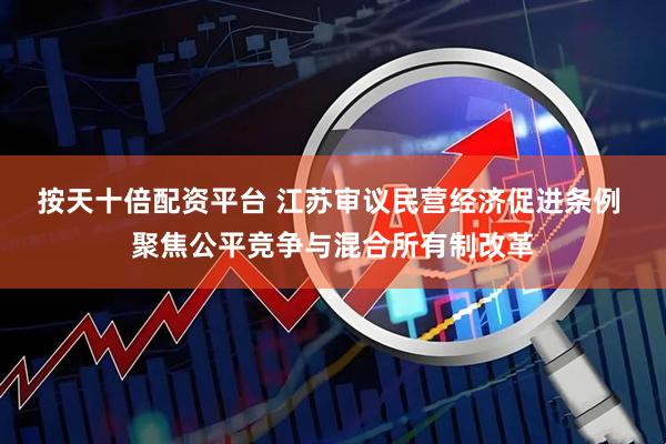 按天十倍配资平台 江苏审议民营经济促进条例 聚焦公平竞争与混合所有制改革