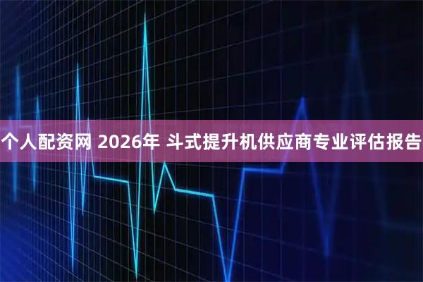 个人配资网 2026年 斗式提升机供应商专业评估报告